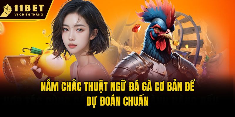 Thuật Ngữ Đá Gà 11bet Phổ Biến Nhất 2025 Dành Cho Hội Viên 1 Nắm chắc thuật ngữ đá gà cơ bản để dự đoán chuẩn